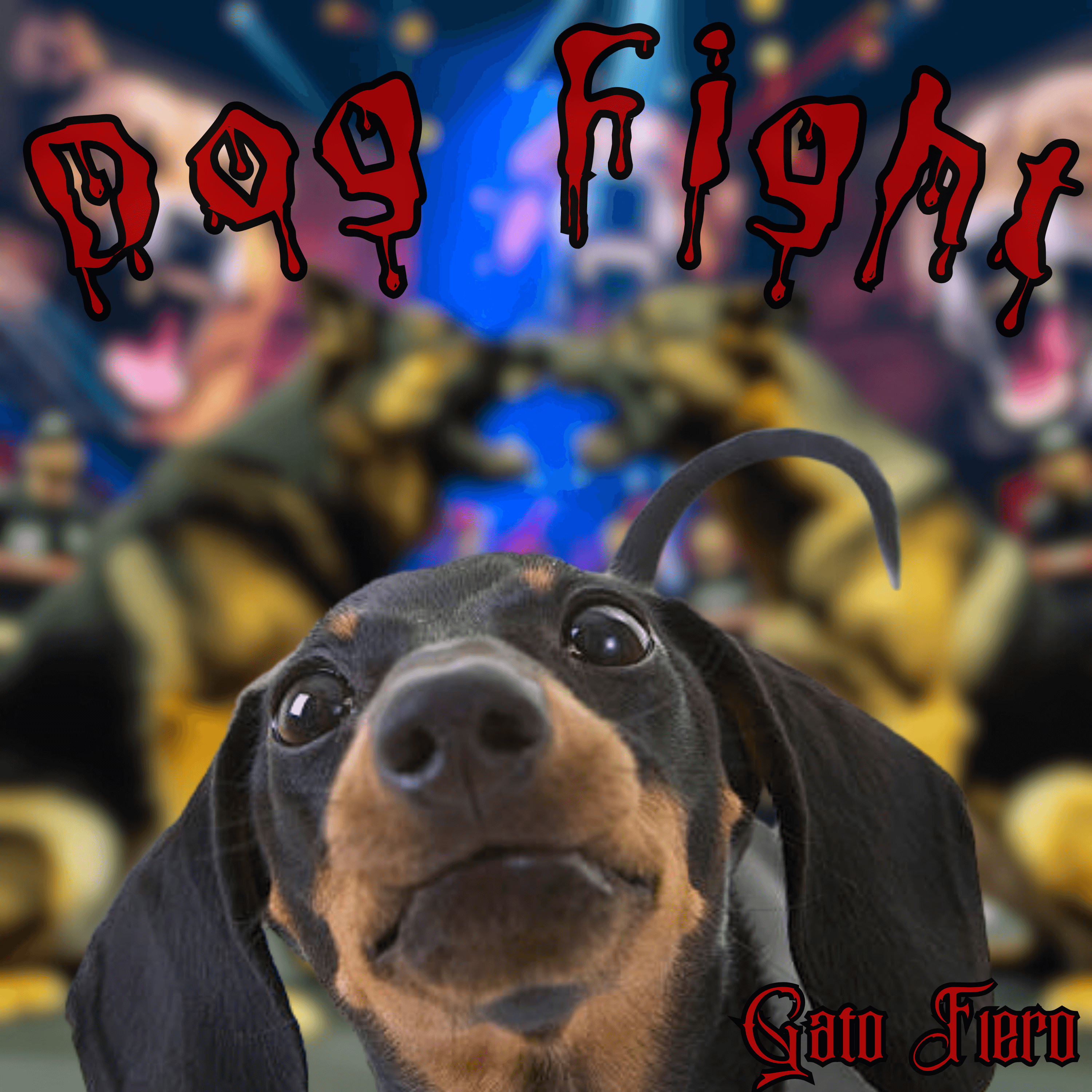 Dog Fight